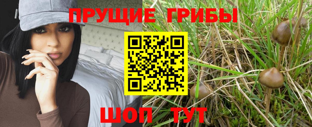 Галлюциногенные грибы прущие грибы  Галлюциногенные грибы мицелий  Гусь-Хрустальный  Вход с VPN 