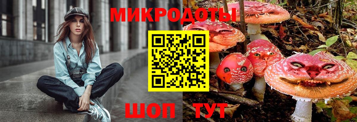 Псилоцибиновые грибы Psilocybine cubensis Гусь-Хрустальный